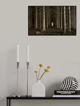 Into the woods Poster och Canvastavla