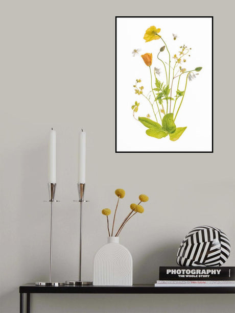 Fairy Garden Poster och Canvastavla