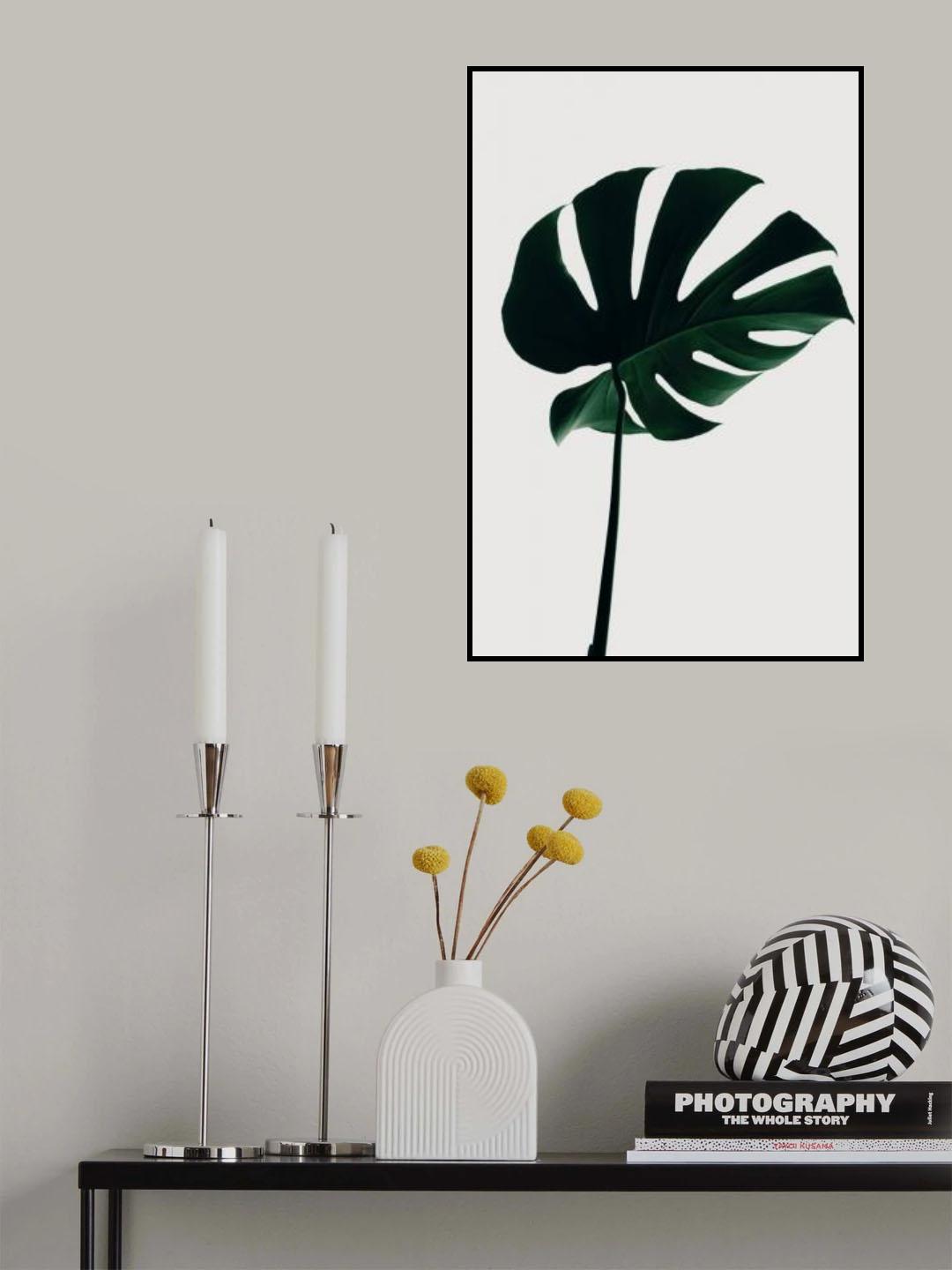 Monstera Natural 10 Poster och Canvastavla