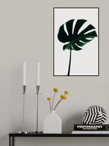 Monstera Natural 10 Poster och Canvastavla