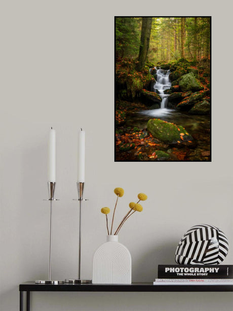 Autumn landscape on the Black stream Poster och Canvastavla