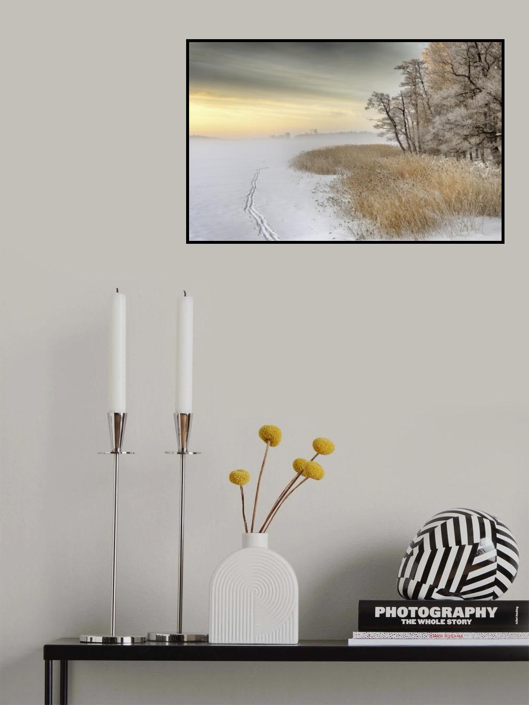 Misty winter morning Poster och Canvastavla