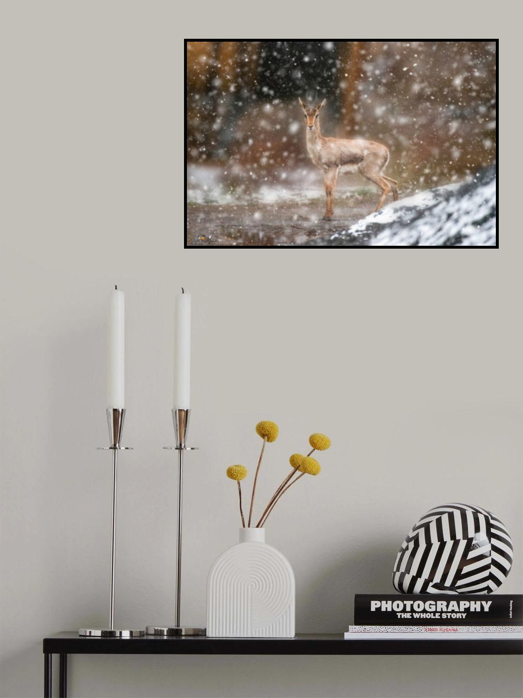 Bambi in the snow Poster och Canvastavla