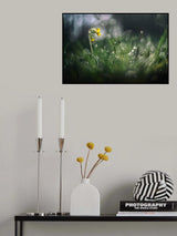 " Nothing else matters..." Poster och Canvastavla