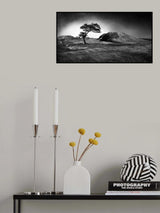 Winter is coming Poster och Canvastavla