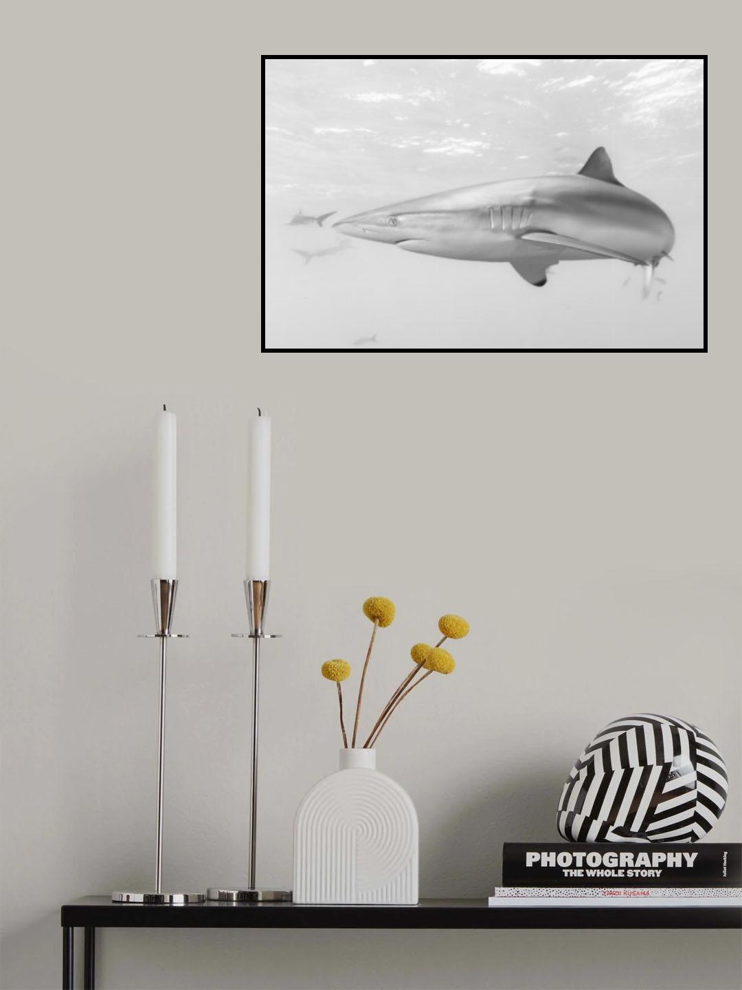 Silver Hunter Poster och Canvastavla