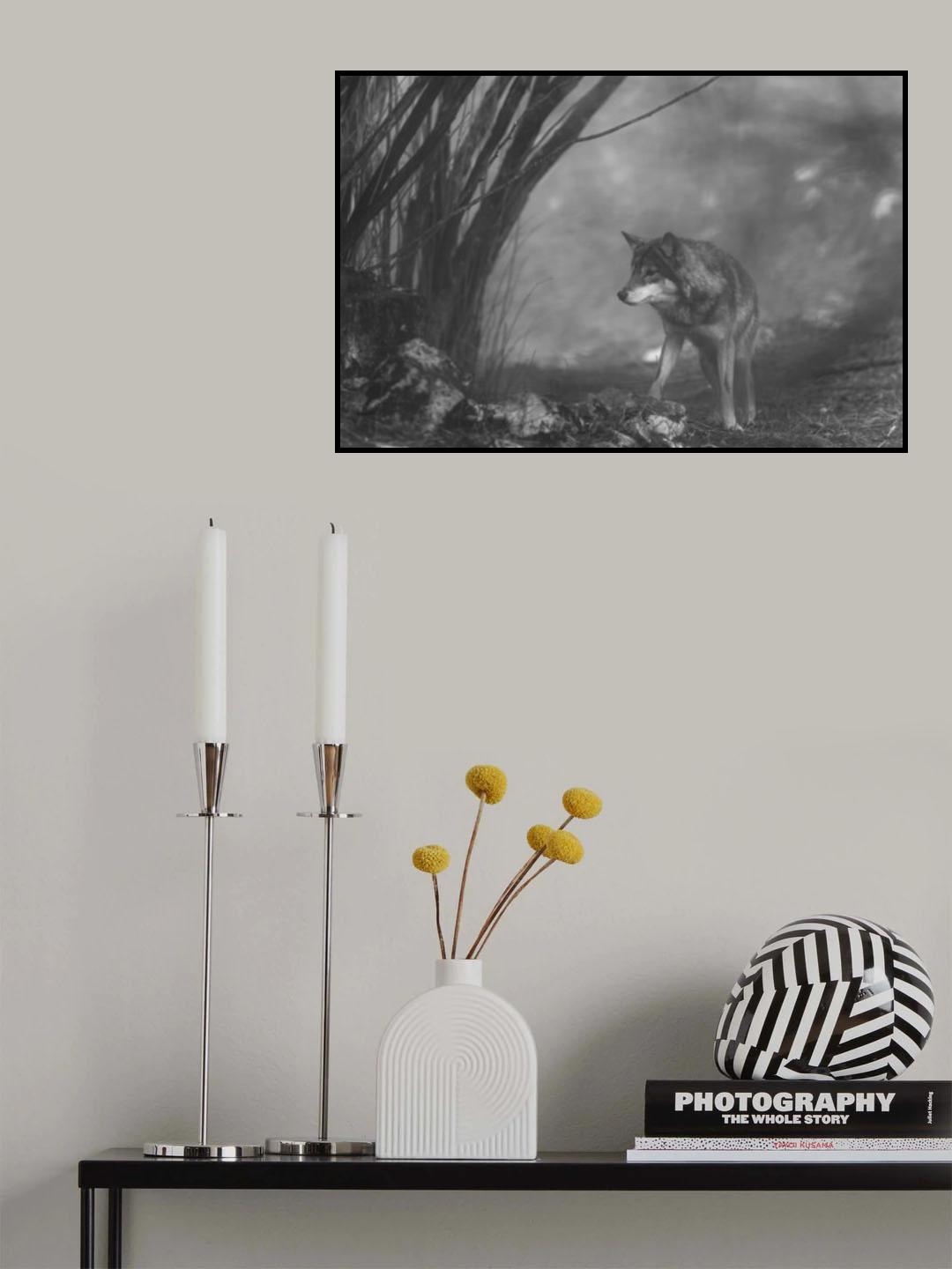 the European gray wolf stands in the forest Poster och Canvastavla