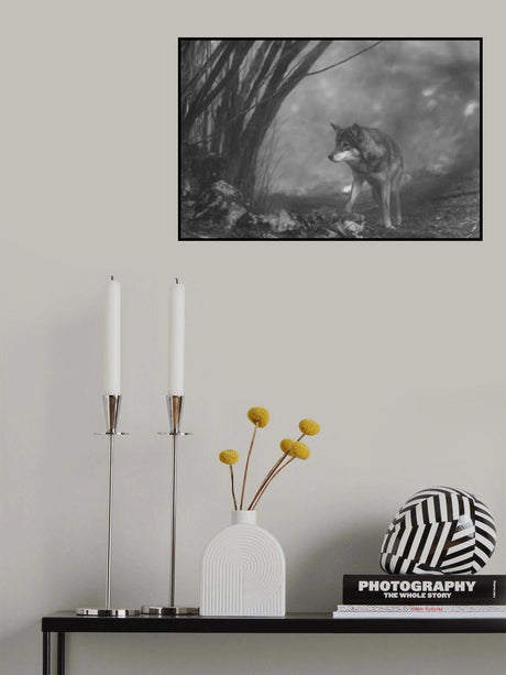 the European gray wolf stands in the forest Poster och Canvastavla