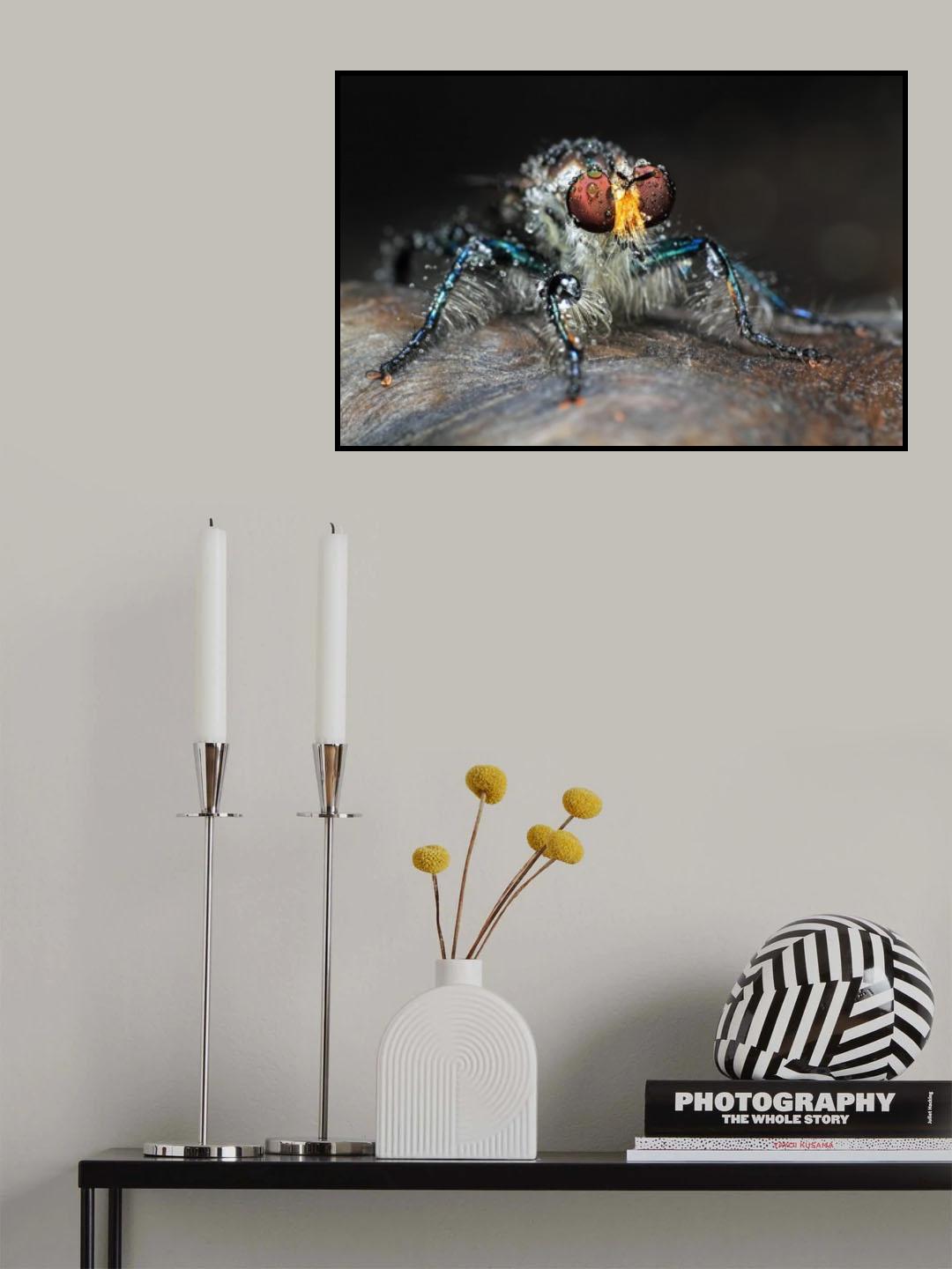blue robberfly Poster och Canvastavla