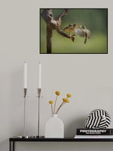 Breakfast is ready....r Poster och Canvastavla