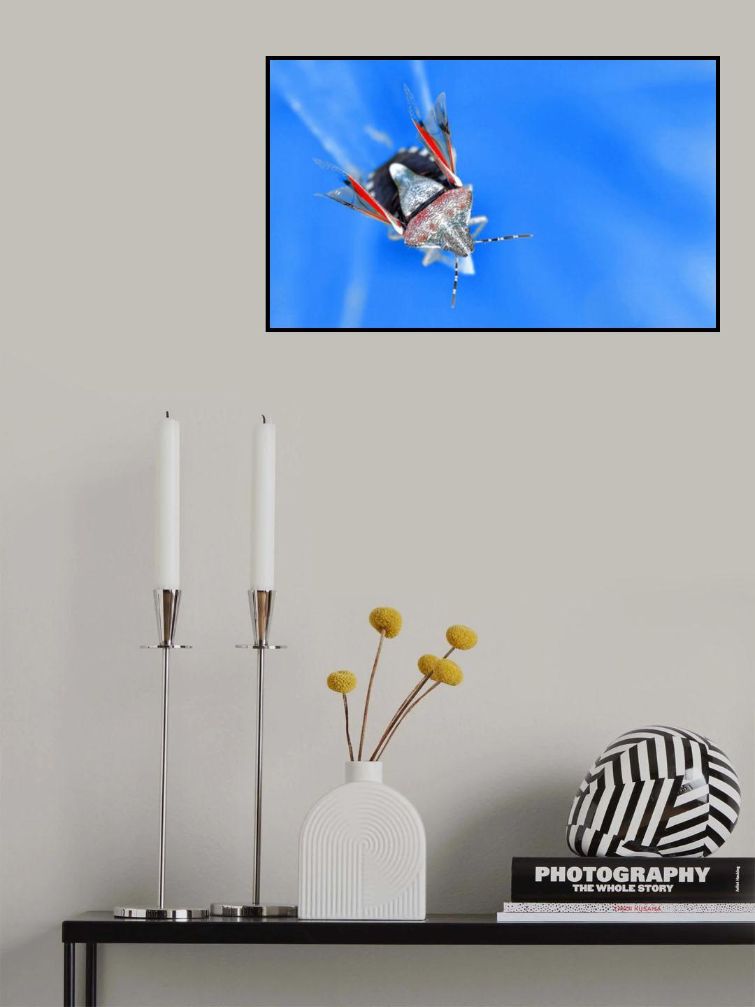 Flight in wingsuit... Poster och Canvastavla