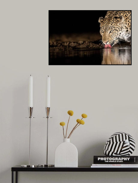 eye of the tiger Poster och Canvastavla