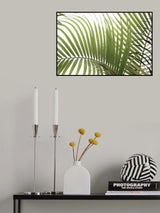 Palm Leaves Foliage Photo 02 Poster och Canvastavla