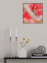 The knight of the sky... Poster och Canvastavla