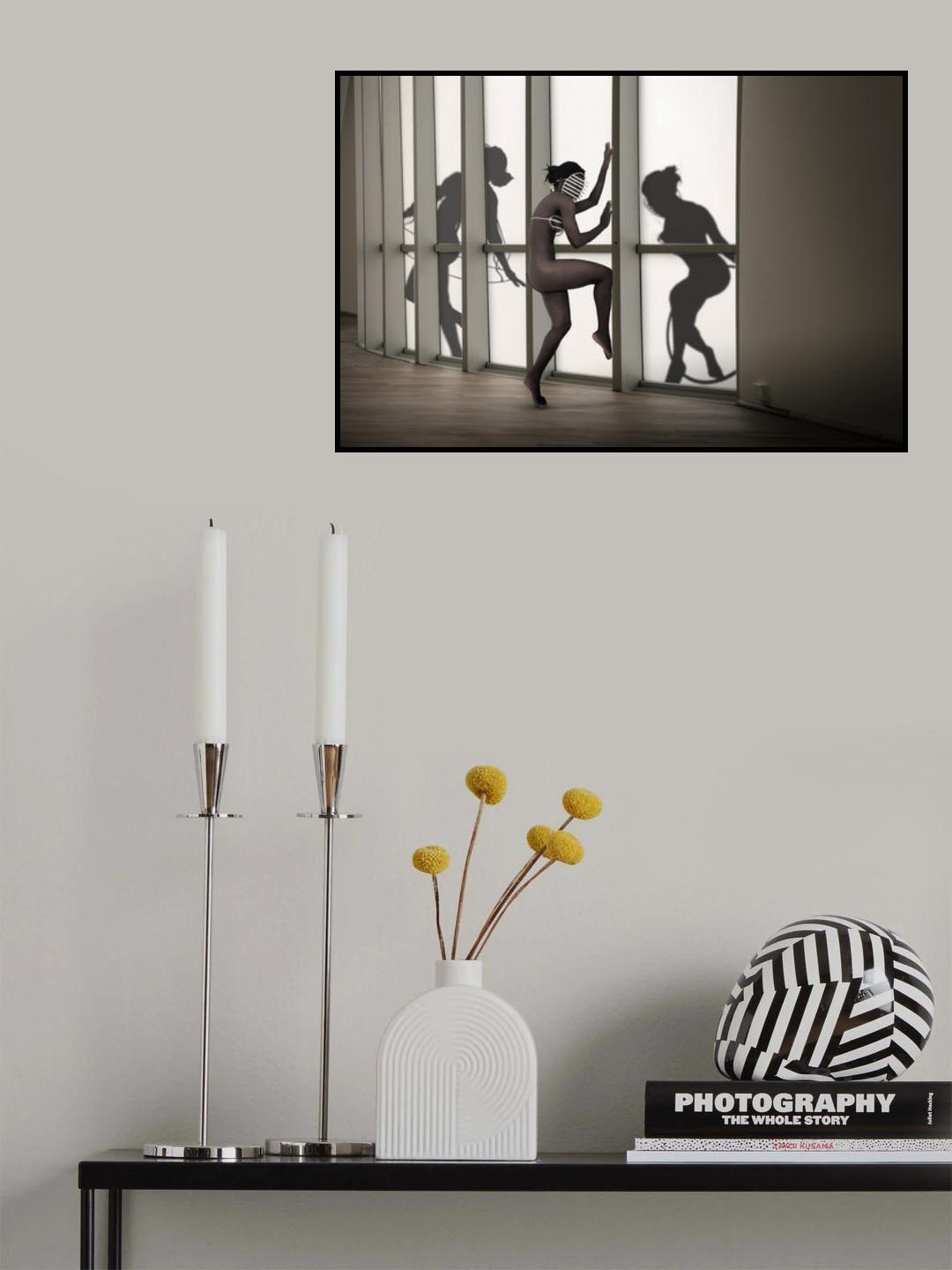 Shadow cabinet II Poster och Canvastavla