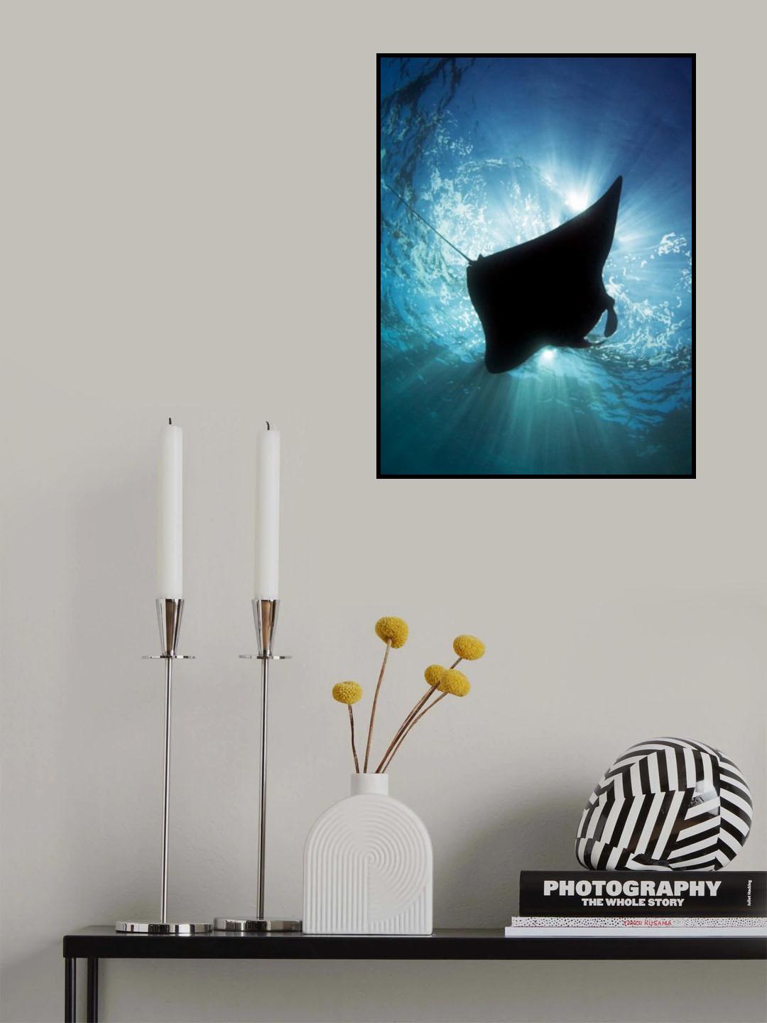 Manta Silhouette Poster och Canvastavla