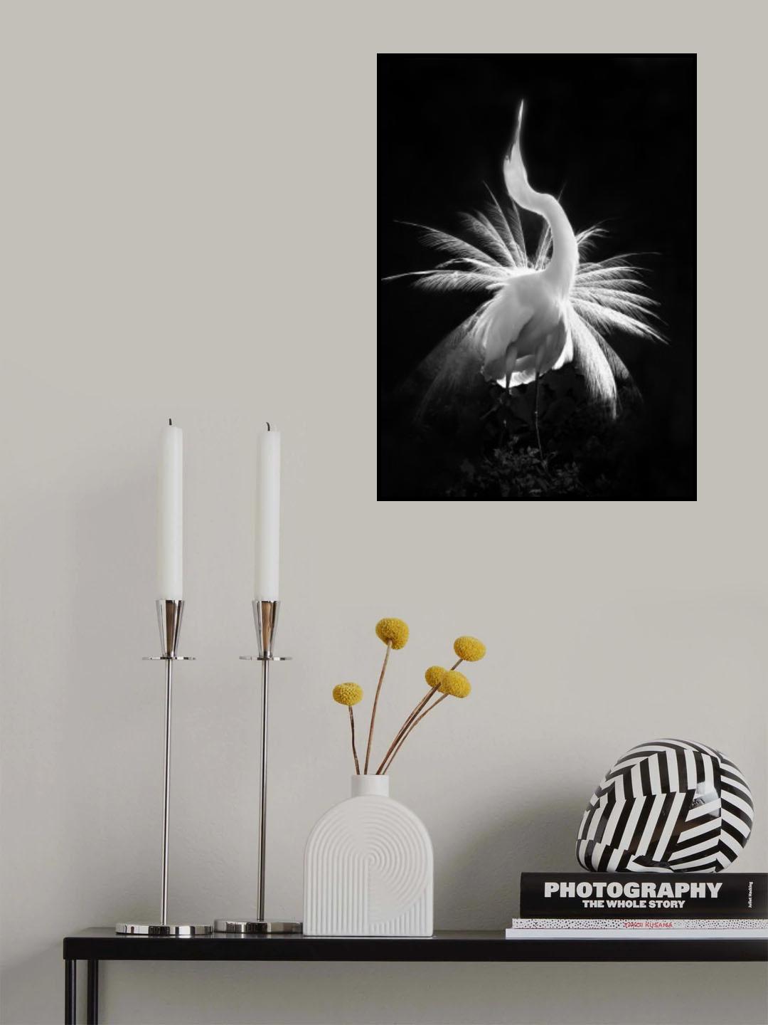 Mating Dance Poster och Canvastavla