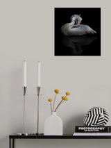 Poster och Canvastavla
