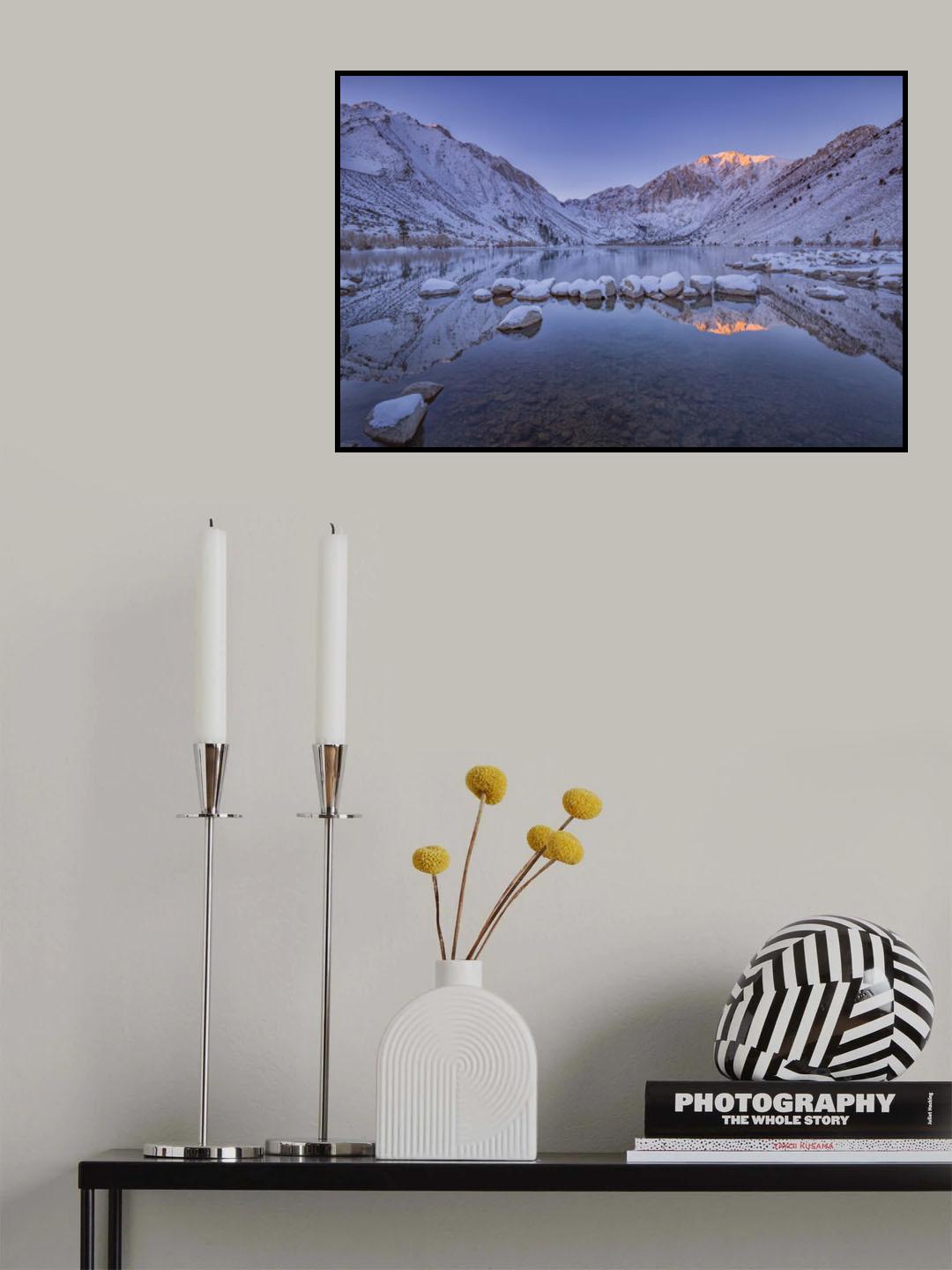 Winter Beauty Poster och Canvastavla