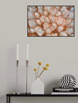 The bare forest Poster och Canvastavla