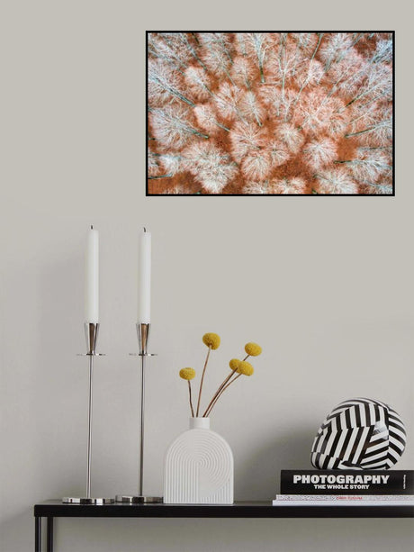 The bare forest Poster och Canvastavla
