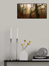My autumn walk.. Poster och Canvastavla