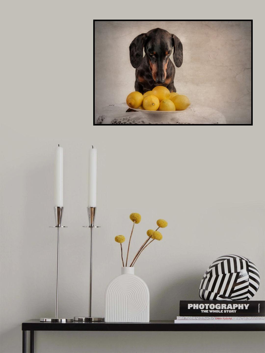 When Life Gives You Lemons... Poster och Canvastavla