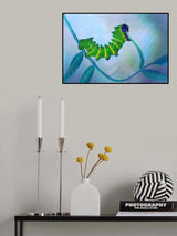 Born to eat Poster och Canvastavla