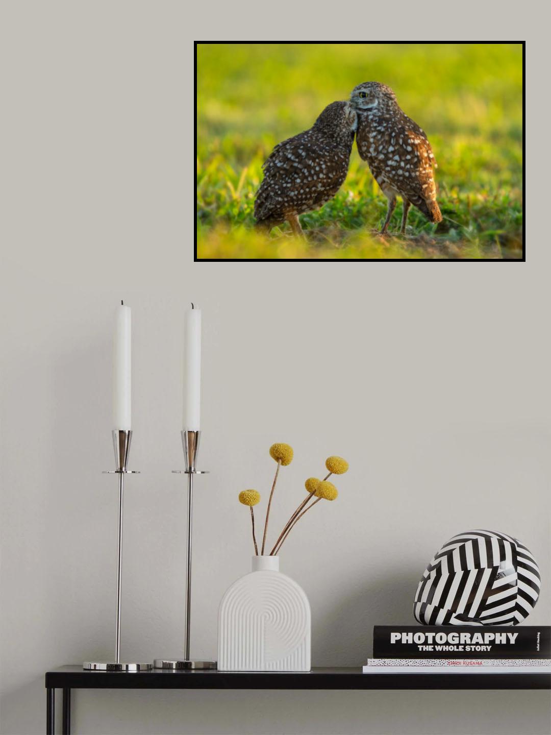 Affection Poster och Canvastavla