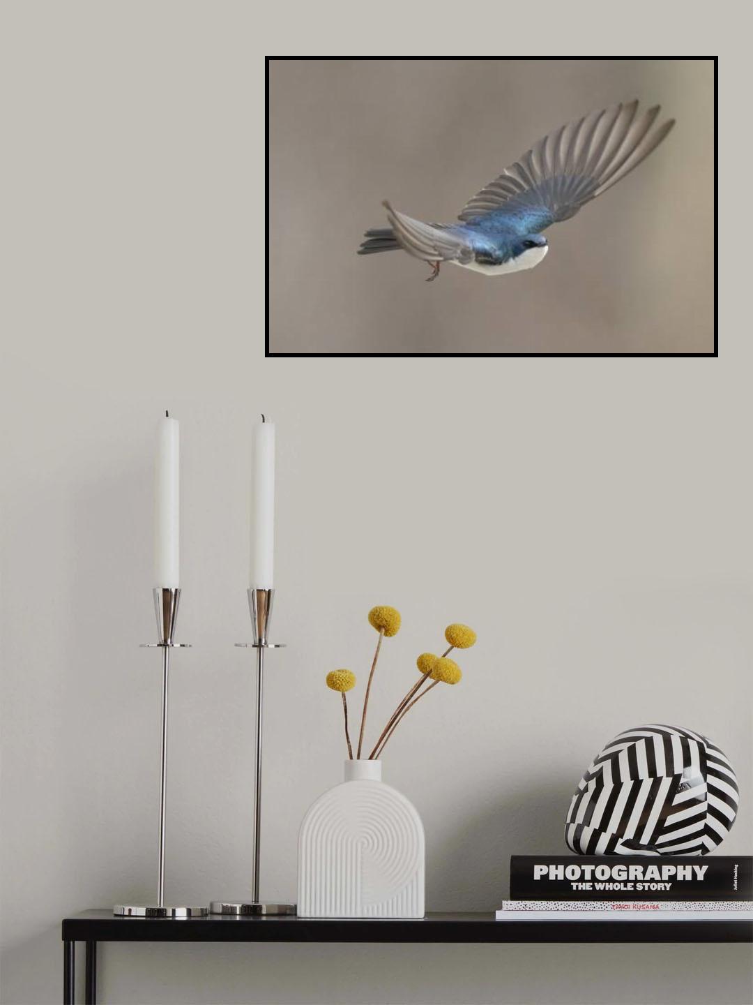 Up Up and away Poster och Canvastavla
