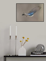 Up Up and away Poster och Canvastavla