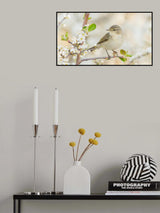 Poster och Canvastavla