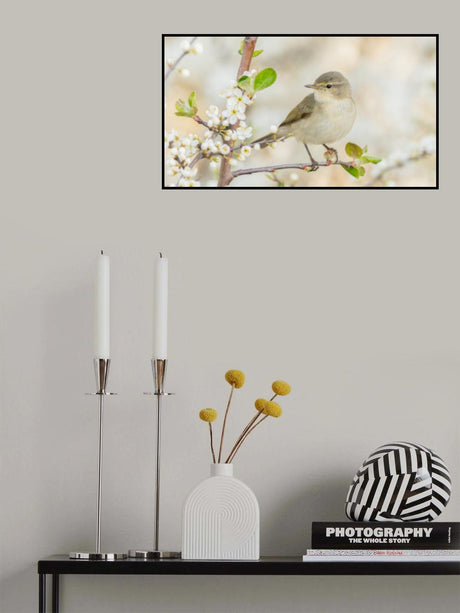 Poster och Canvastavla