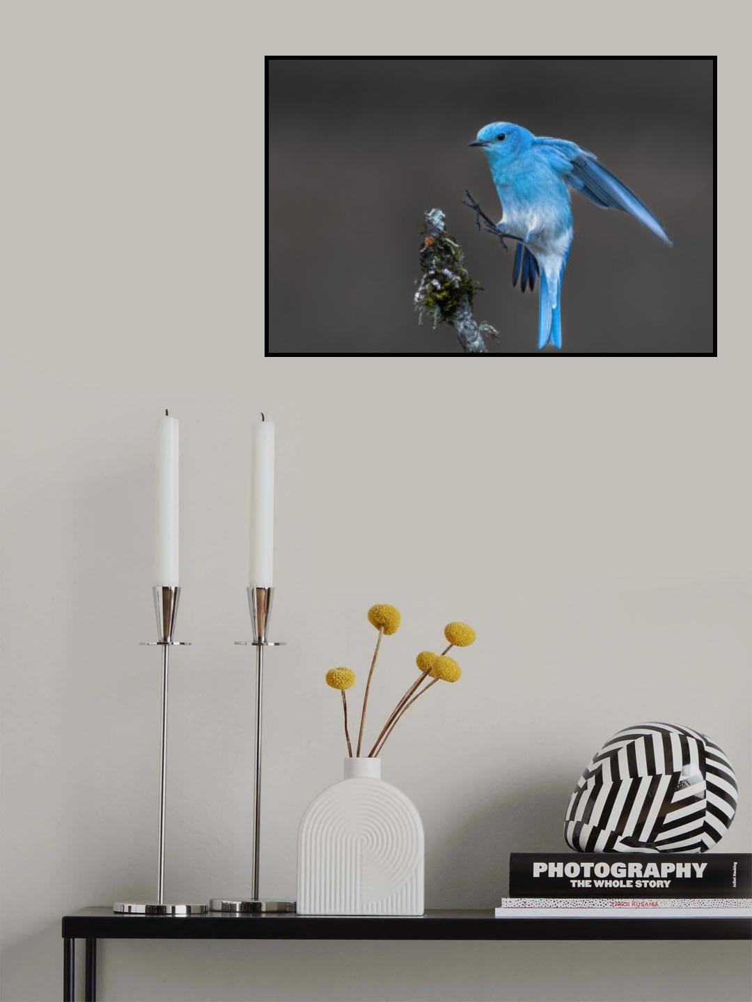 jumping Poster och Canvastavla