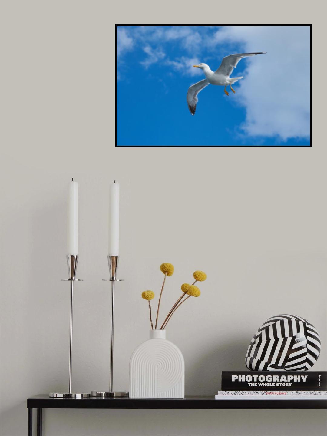 flying seagull Poster och Canvastavla