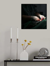 C section; a puppy is born Poster och Canvastavla