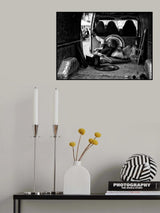 The comfort zone Poster och Canvastavla