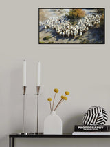 Sheep Poster och Canvastavla