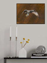 Big Catch Poster och Canvastavla