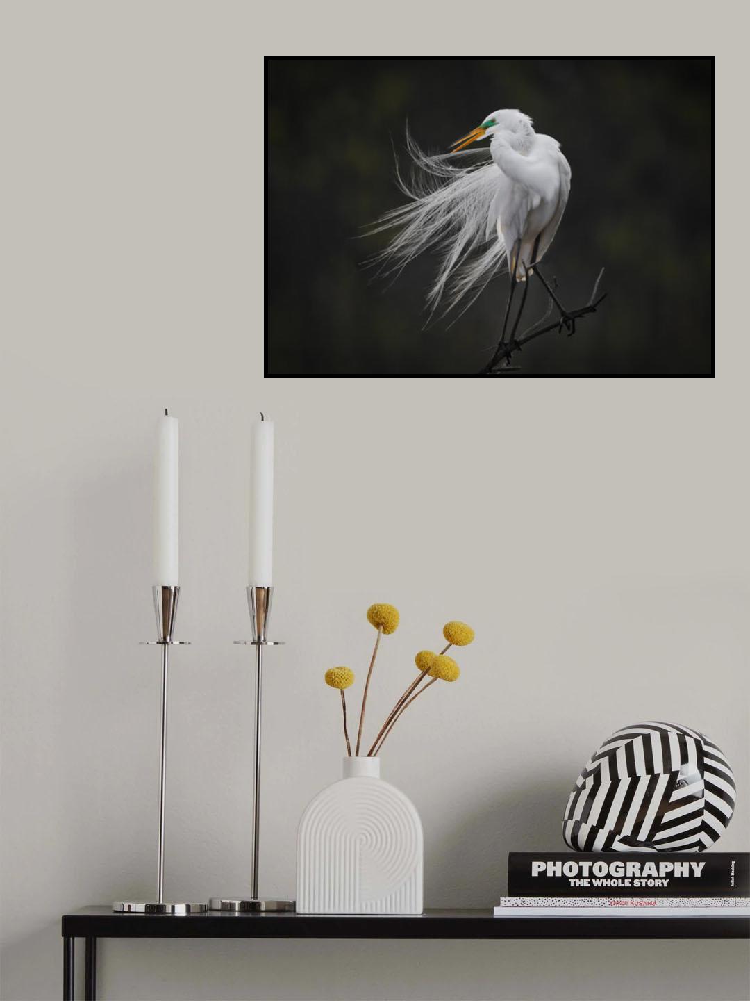 Poster och Canvastavla