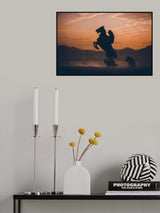 Poster och Canvastavla