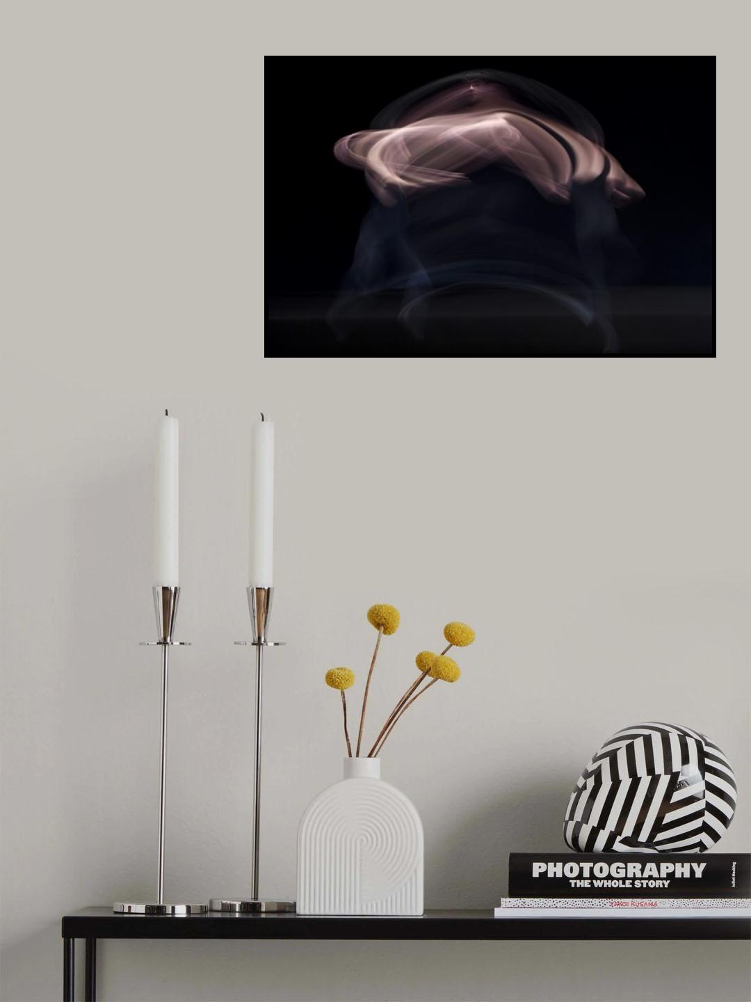 Pirouette Poster och Canvastavla