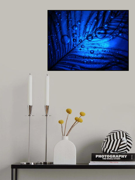 Oil, Water and a Ostrich Feather Poster och Canvastavla