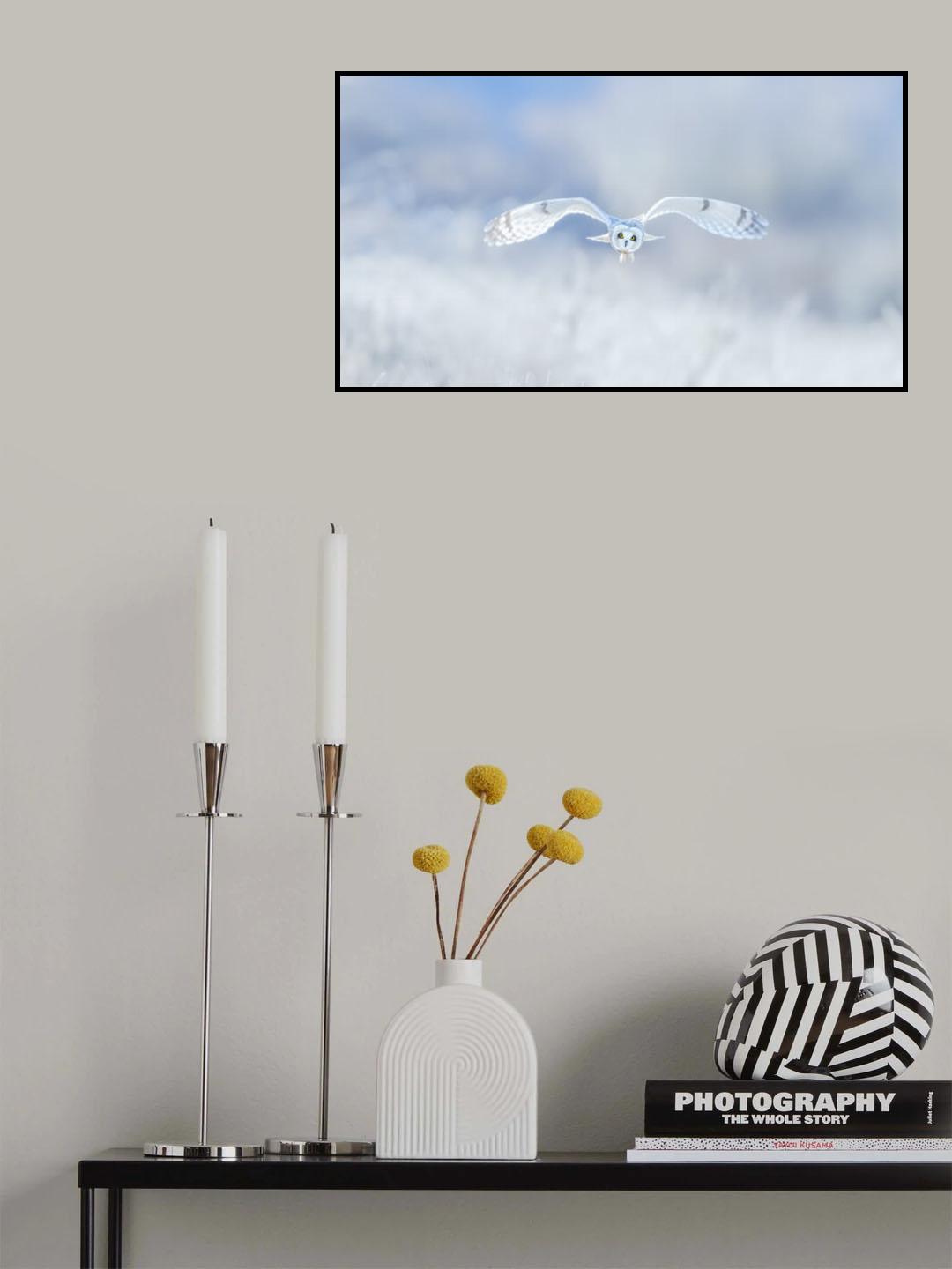 Winter, Winter, Winter,Wonderland Poster och Canvastavla