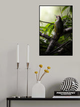 gallantly Poster och Canvastavla
