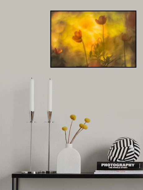 the oranges ones Poster och Canvastavla
