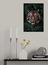 Tiger Poster och Canvastavla