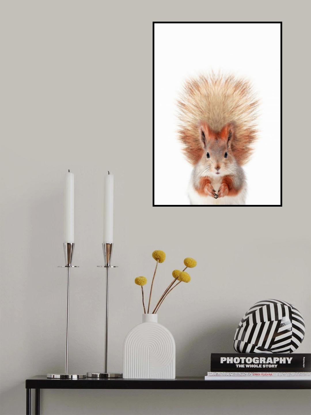 Baby Squirel Poster och Canvastavla