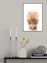 Baby Squirel Poster och Canvastavla