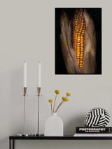 Corn Poster och Canvastavla